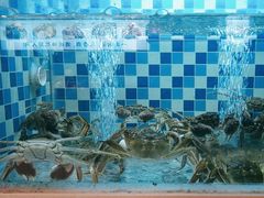 -野渡坡·极致湘菜·庭院餐厅(汉阳店)