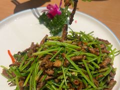 -石头咕(葵蓬店)