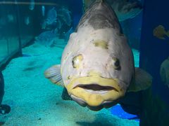 -成都浩海立方海洋公园