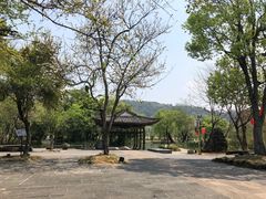 -比顿咖啡(和顺古镇店)