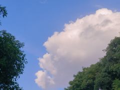 -黄兴公园