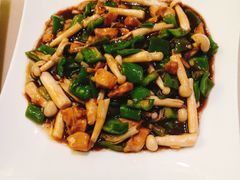 鲜菇酱爆鸡丁-顶顶香煎饼家常菜(金花南路店)