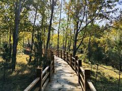 -塞罕坝国家级自然保护区