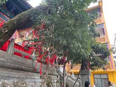 -宝通禅寺