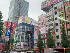 -秋叶原电器街