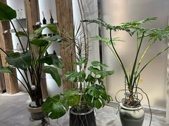 -伊势丹(现代城店)