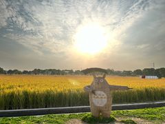 -嘉北郊野公园