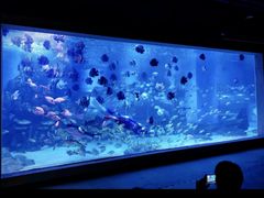-顺德南宏海立方海洋公园