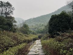 -桃花岭景区