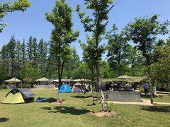 -上海长兴岛郊野公园