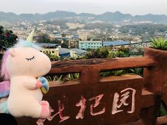 -枇杷园食为鲜火锅(南山店)