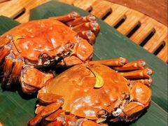 -成隆行·蟹王府(淮海店)