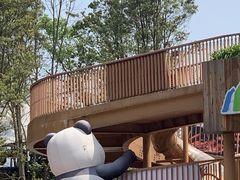 -中国大熊猫保护研究中心雅安碧峰峡基地