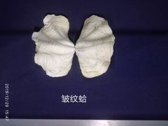 -上海海洋大学鱼文化博物馆(军工路校区)