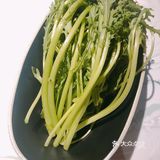 春日来吃一顿元气满满的花胶鸡锅吧