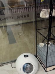 -镁连社·美联社
