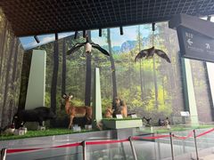 -房山世界地质公园博物馆