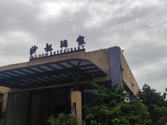 -沙龙酒家