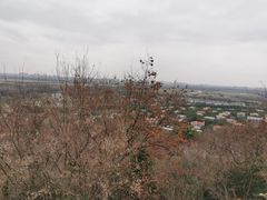 -上海佘山国家森林公园西佘山园