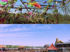 -呀路古热带植物园