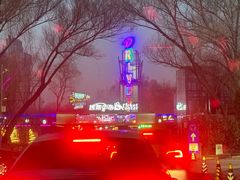 -枫花园汽车电影院(朝阳公园店)