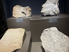 -湖南省地质博物馆