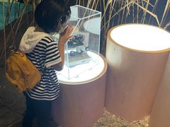 -上海长江河口科技馆