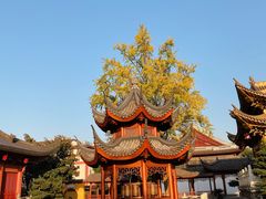 -上海东林寺(金山区)