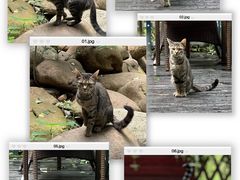 大堂-马勒别墅·中餐厅