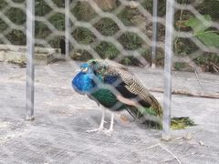 -福建鲤鱼洲酒店