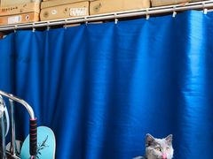 -瑞鹏宠物医院·爱宠堂·骨外专科(西荷分院)