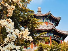 -颐和园