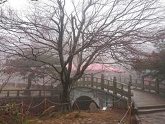 -庐山风景区花径公园