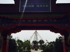 -武清南湖绿博园