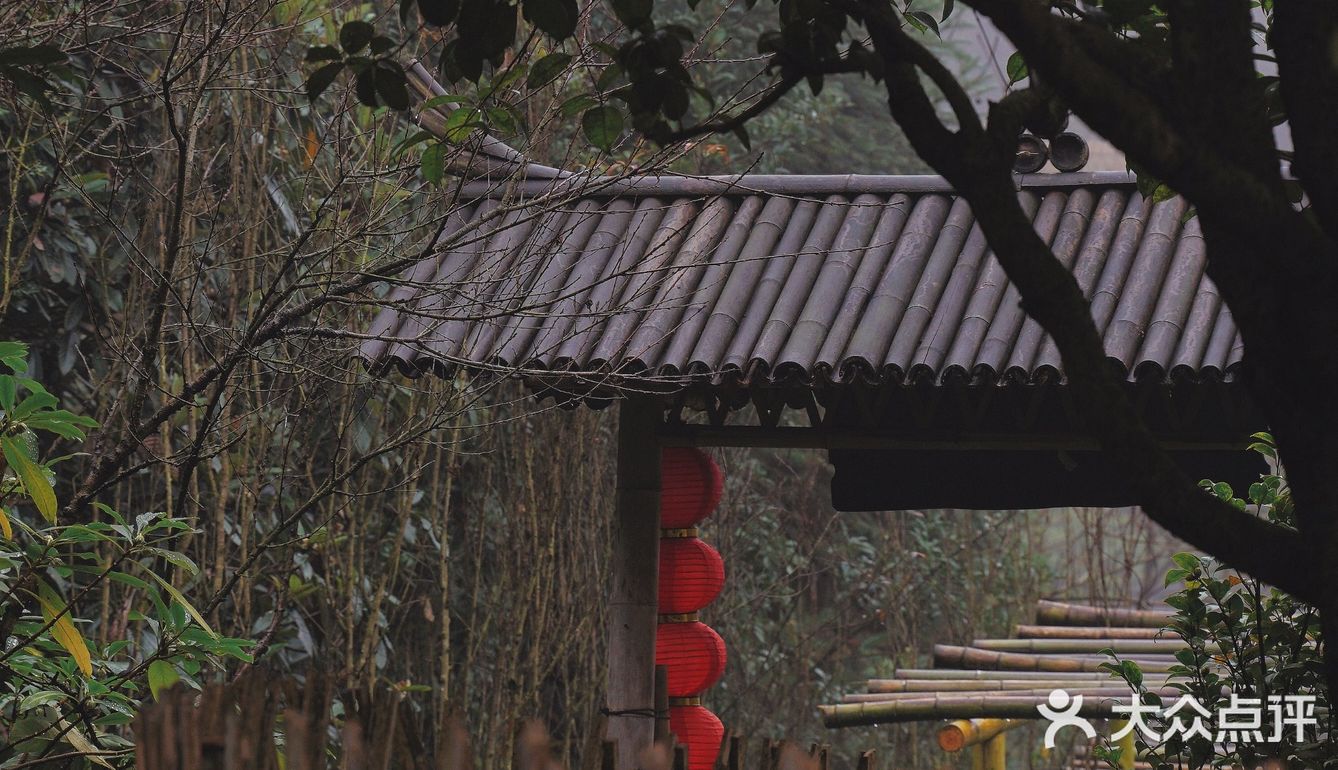 常德 | 隐居在桃花源🍃推开窗便是绿树田园