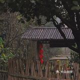 常德 | 隐居在桃花源🍃推开窗便是绿树田园