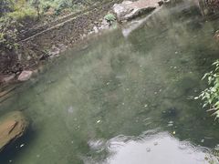 -白云源风景区