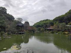 -云溪植物园