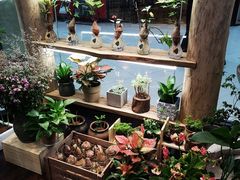 -十二舍·湯物素煮(江泰潤政店)