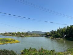 -三垟湿地