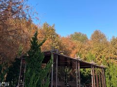 -春花秋色城市公园