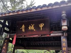 -青城甲(青城山店)