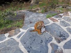 -大岭沟猕猴桃谷风景区