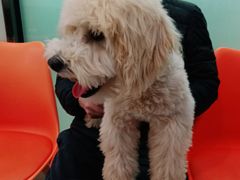-纳吉亚猫专科动物医院博雅分院