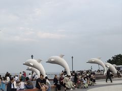 -小麦岛公园