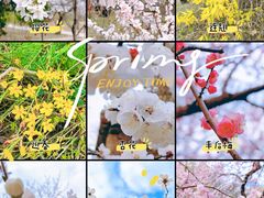 -国家植物园