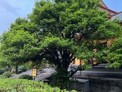 -桂林独秀峰王城景区