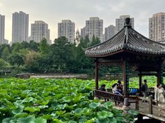 -龙头寺公园