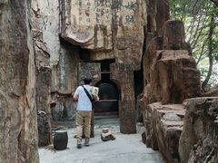 -铁山坪森林公园