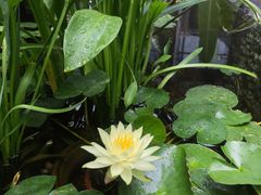 -肴约·花园式餐厅(湖里店)